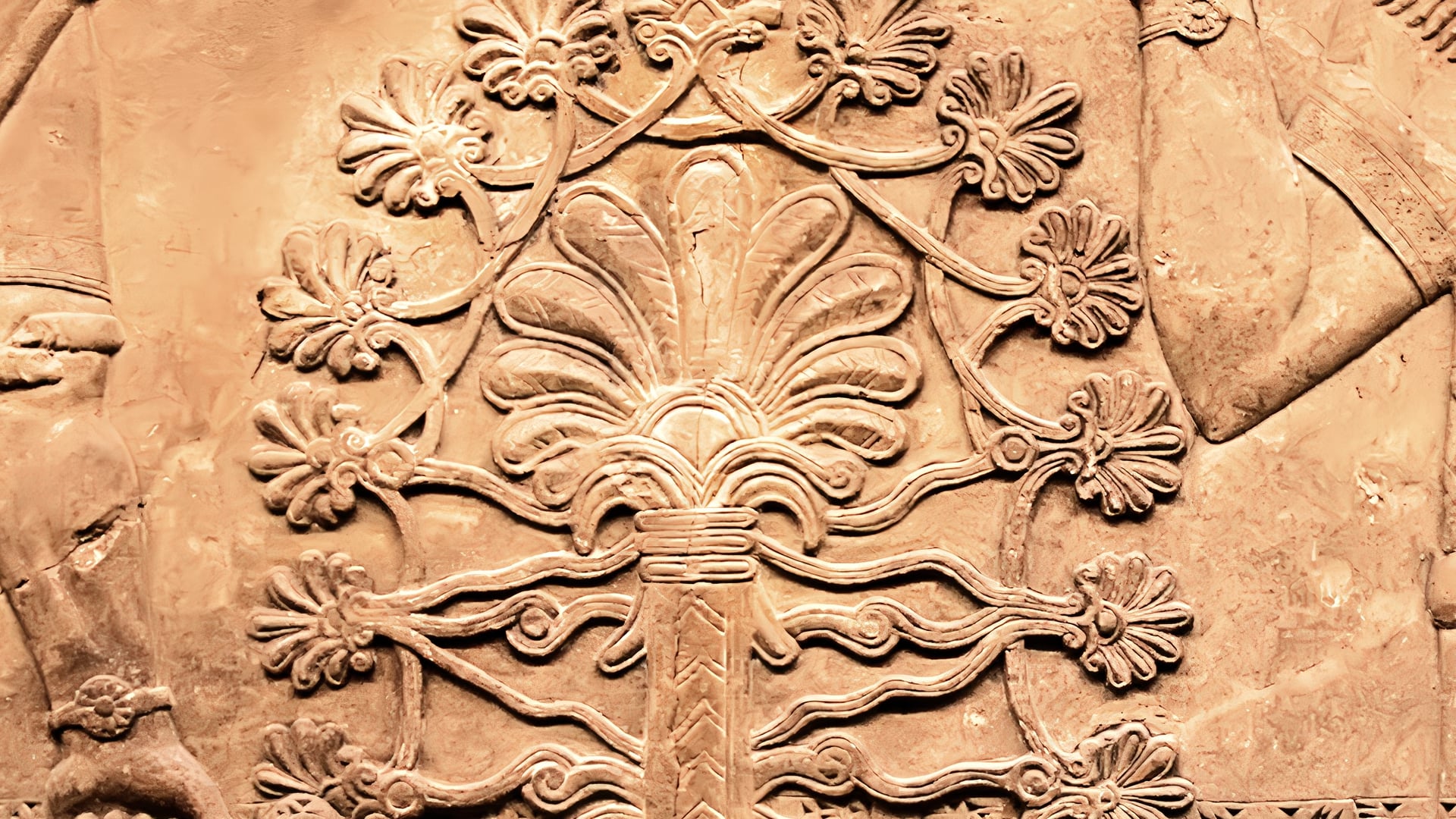 The Tree of Life